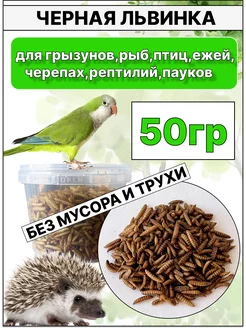 Черная львинка, лакомство для крыс,ежей,черепах, 50грамм