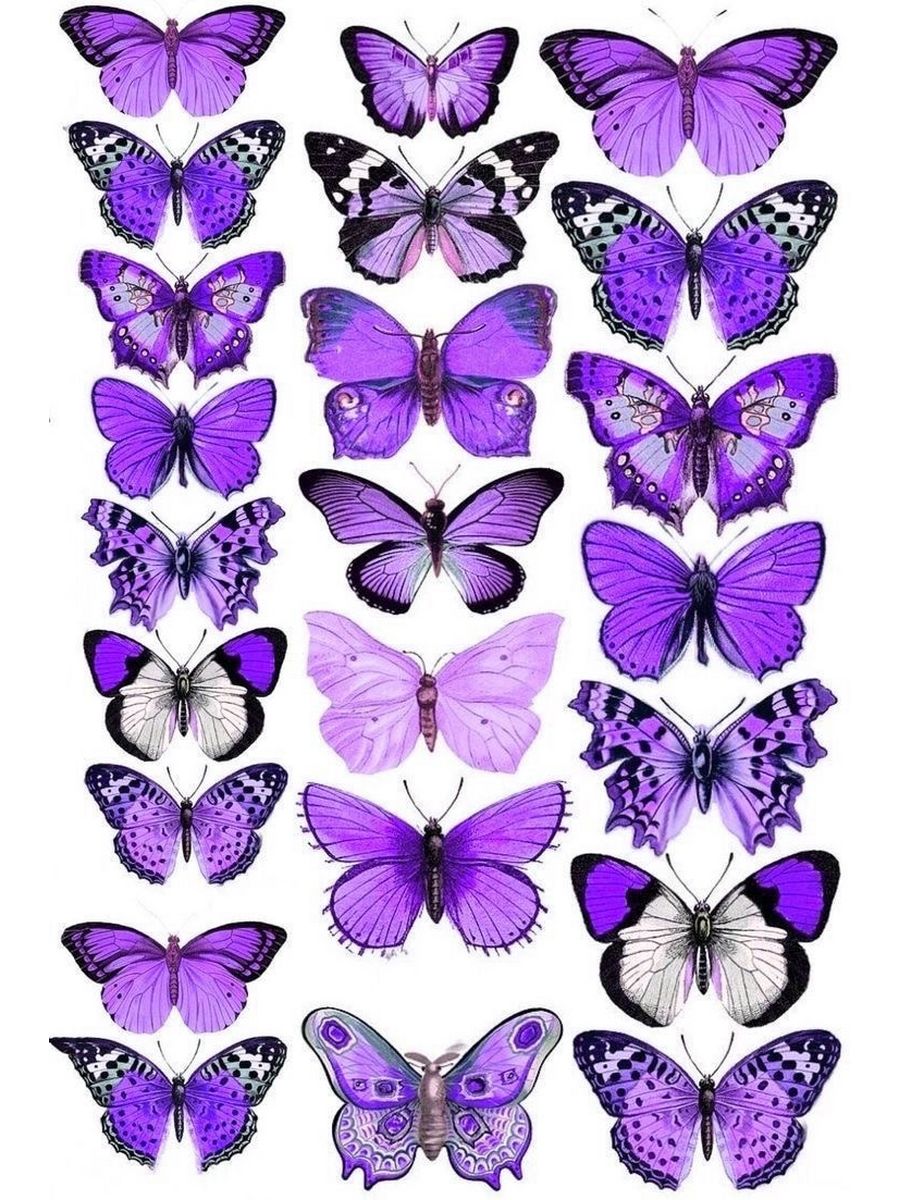 Цветной трафарет. Розовые бабочки. Бабочки цветные. Бабочки для распечатки цветные. Бабочки сиреневые фотопечать.