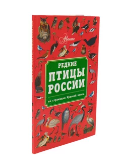 Редкие птицы России справочник. По страницам Красной книги