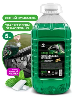 Стеклоомывающая жидкость Summer Shine канистра 5л