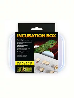 Экзотерра Incubation Box Контейнер для инкубации яиц