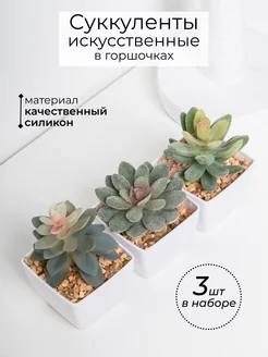 Искусственные суккуленты в горшках