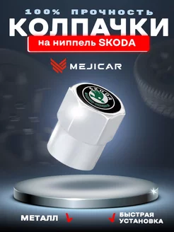 Колесные колпачки на ниппель Skoda