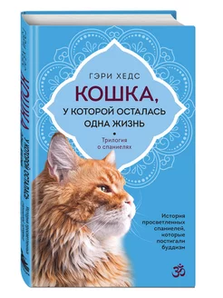 Кошка, у которой осталась одна жизнь