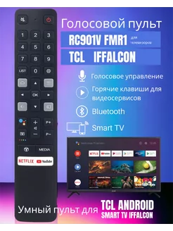 Голосовой пульт RC901V FMRD