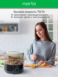 Сушилка для овощей и фруктов, пастилы 4 ур + 1 + 1, 15 л