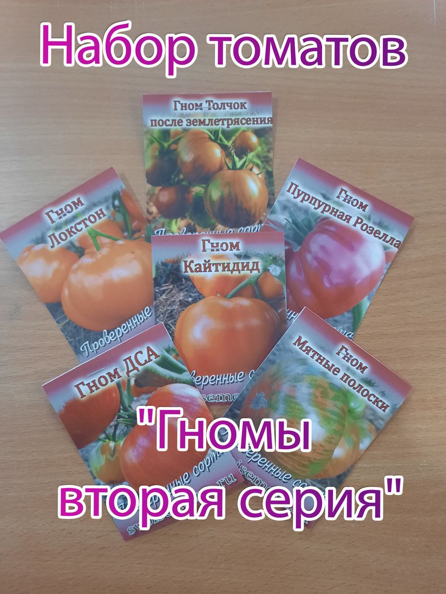 Томаты кумир описание. Томат Гном ДСА. Томат кумир. Томат кумир фото.