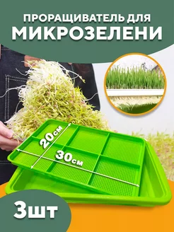 Проращиватель для микрозелени