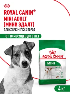 Сухой корм для собак мелких пород Mini Adult 4 кг