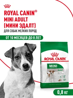 Сухой корм для собак мелких пород Mini Adult 800 г