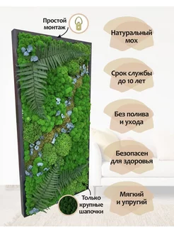 Панно из стабилизированного мха и растений 100*50 см