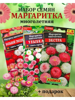 Семена маргаритки многолетней 3 шт