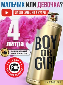 Огнетушитель для гендер пати 4 литра цветной дым Boy or Girl