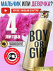 Огнетушитель для гендер пати 4 литра цветной дым Boy or Girl бренд WOW GENDER PARTY продавец Продавец № 1141328