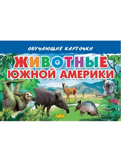 ОБУЧАЮЩИЕ КАРТОЧКИ. Животные Южной Америки. 16 карточек