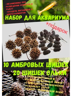 Амбровые шишки Ольховые шишки