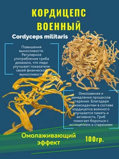 Кордицепс Cordyceps militaris