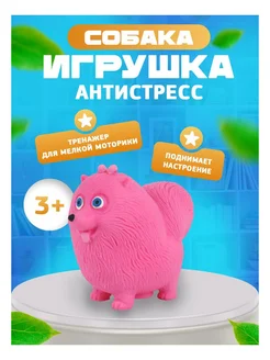 Игрушка-антистресс Пудель роз