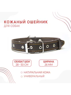 Кожаный ошейник (обхват 28-50 см) для собак - Коричневый