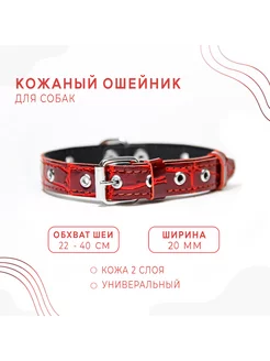 Кожаный ошейник (обхват 22-40 см) для собаки