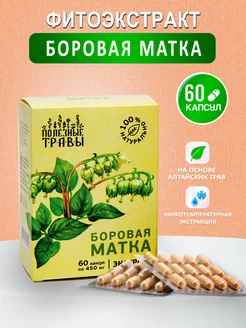 Боровая матка капсулы