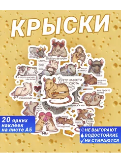 Стикеры А5 Крыски мемы