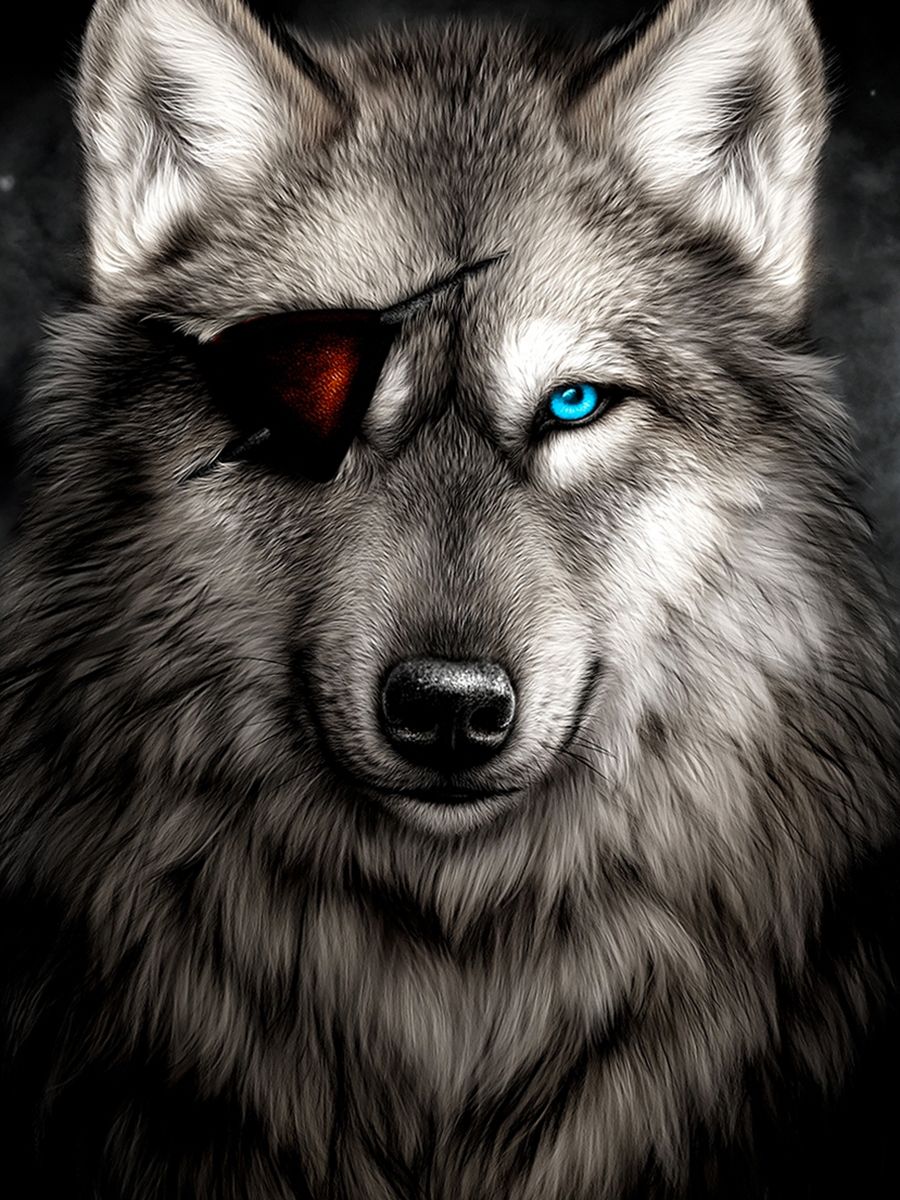 Постер с волком. Плакат с волком. Постер волки. Волк. Горы мистика волк.
