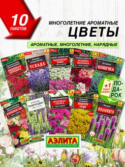 Семена цветов многолетников ароматных 10 шт