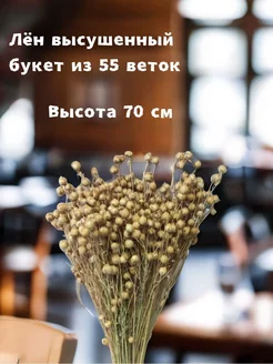 Настоящий Лён сухоцвет 55 веток 60-70см для дома и офиса