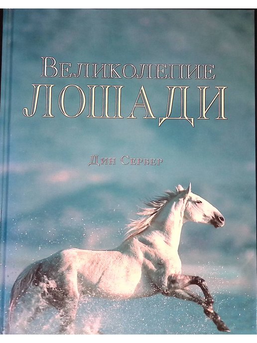 Читать про лошадей. Книги про лошадей. Обложка книги с лошадью. Обложка лошадь. Обложка книги сказок о лошадях.