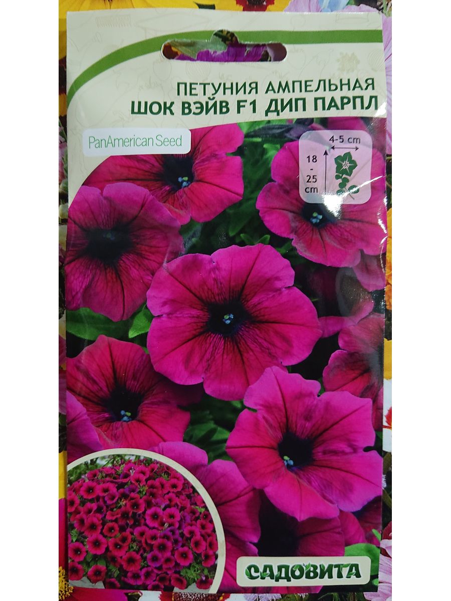 Петуния шок дип парпл. Петуния Тайдал Вэйв f1 Парпл 5др ампельная Садовита ц. Петуния Тайдал Вэйв f1 ред велюр 5др ампельная Садовита ц. Петуния "ШОК Вэйв" дип перпл f1 многоцветковая каскадная. Петуния ШОК Вэйв деним.