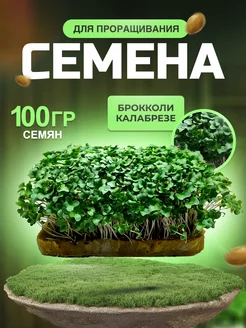 Микрозелень семена Брокколи Калабрезе 100гр(грамм)