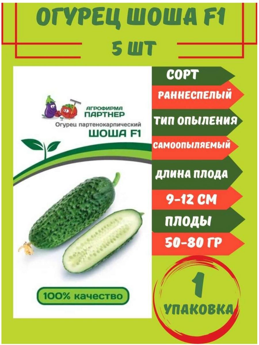 Огурец шоша отзывы