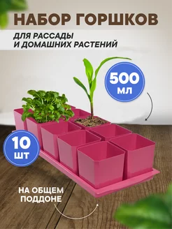 Горшки для рассады и цветов 10 штук