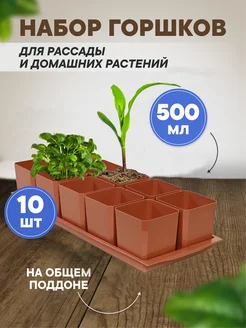 Горшки для рассады и цветов 10 штук