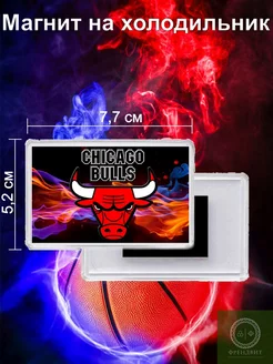 Магнит на холодильник баскетбольного клуба Chicago Bulls