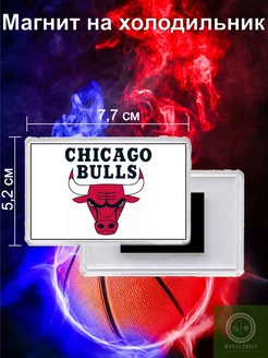 Магнит на холодильник баскетбольного клуба Chicago Bulls