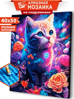 Космический кот Алмазная мозаика на подрамнике 40х50