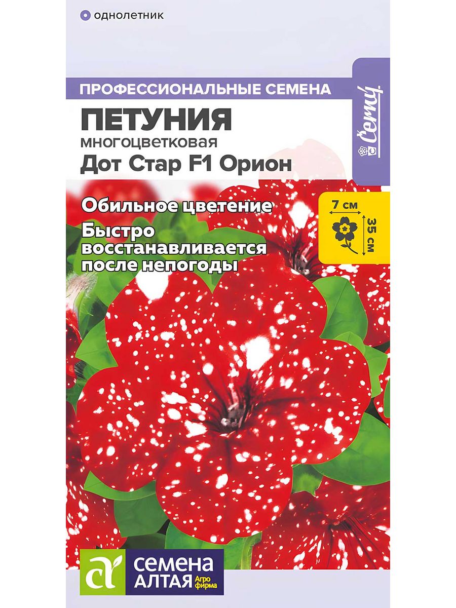 петуния дот стар звездное небо фото 82