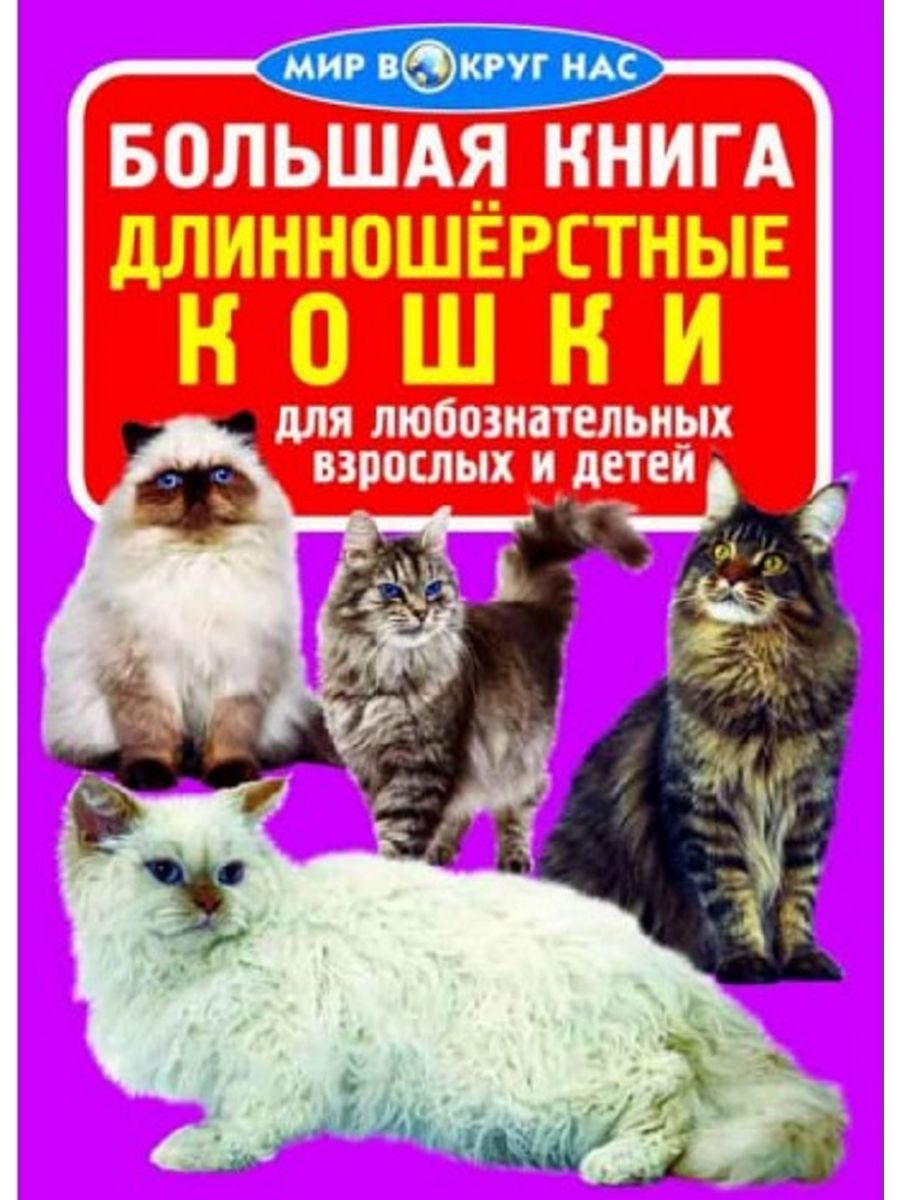 Мир кошек книга. Большая книга про кошек. Большая Кошачья книга книга. Книги про больших кошек. Завязкин о в большая книга.