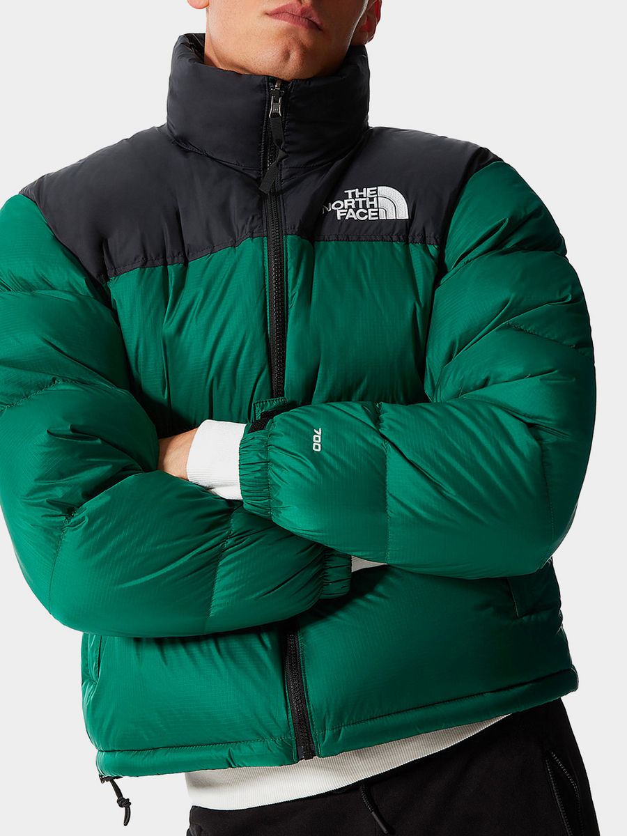 Куртки вместе. Куртка the North face 1996 Retro Nuptse. Куртка 1996 Nuptse the North face. Куртка the North face 1996 Retro Nuptse Jacket. Пуховик the North face 1996 Nuptse Green.