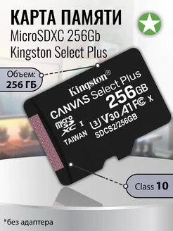 Карта памяти microSDXC 256Gb UHS-I (U3) V30 без адаптера