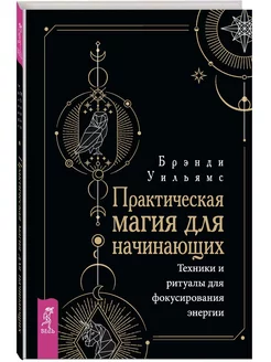 Практическая магия для начинающих. Техники и ритуалы