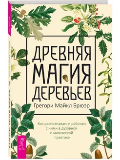 Древняя магия деревьев. Как распознавать и работать с ними