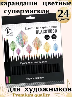 Карандаши цветные для рисования мягкие 24 цвета Blackwood