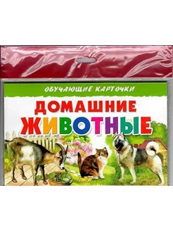 Обучающие карточки. Домашние животные (16 карточек)