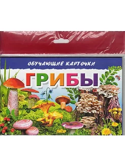 Обучающие карточки. Грибы (16 карточек)