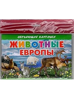 Обучающие карточки. Животные Европы (16 карточек)