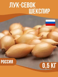 Лук севок озимый Шекспир 0,5 кг