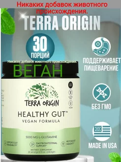 Healthy Gut, веганская формула, 246,6 г (8,7 унции)